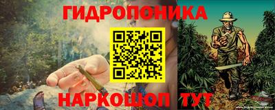 крисы Ипатово